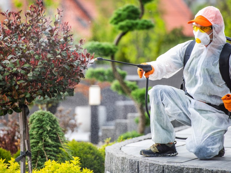 Aladağ Haşere İlaçlama